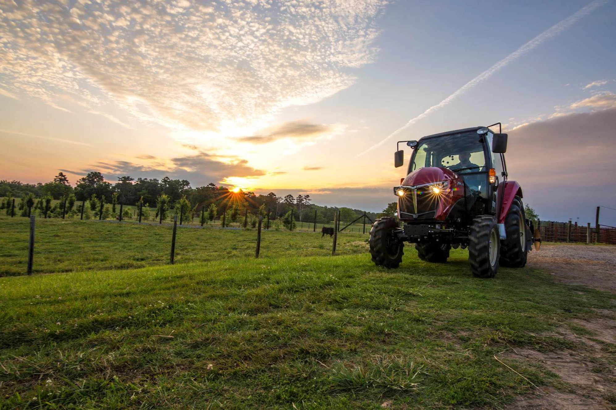 Yanmar-Berry-May2016-IMG_9098