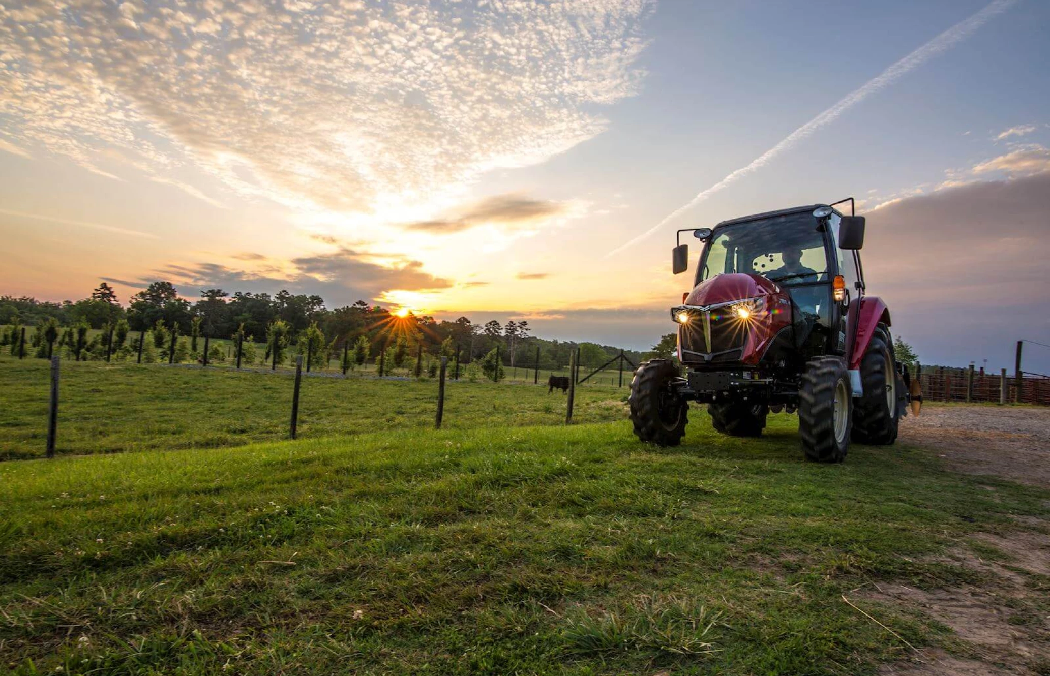 Yanmar-Berry-May2016-IMG_9098