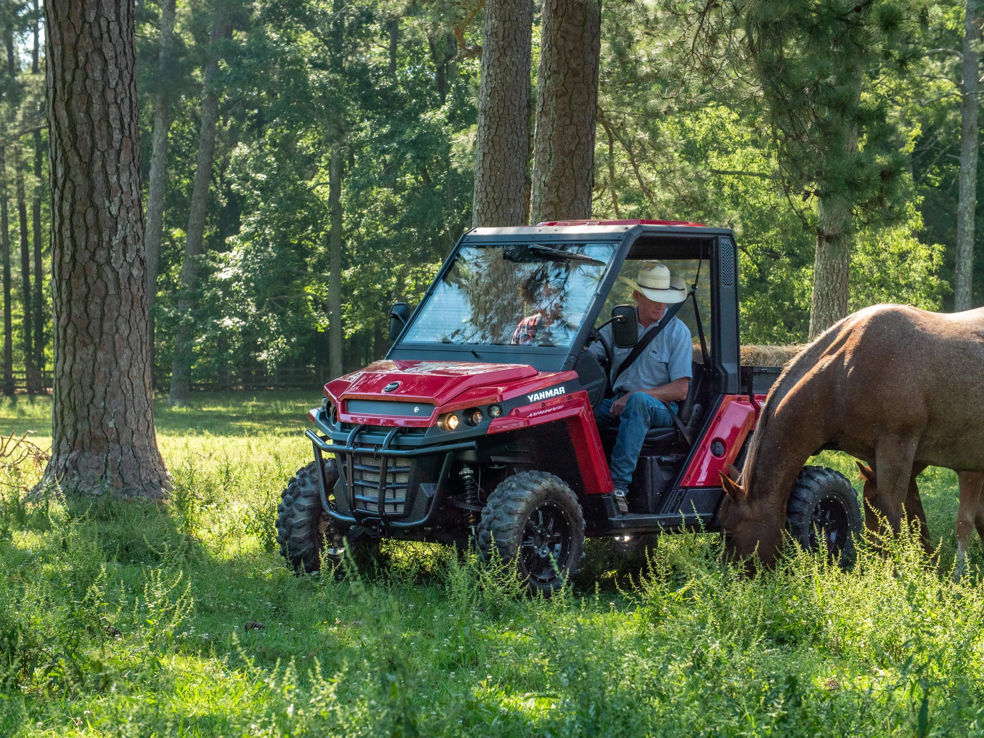 brahnma_UTV_BerryCollege-3
